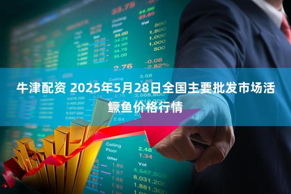 牛津配资 2025年5月28日全国主要批发市场活鳜鱼价格行情