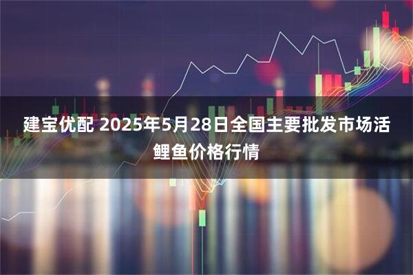 建宝优配 2025年5月28日全国主要批发市场活鲤鱼价格行情
