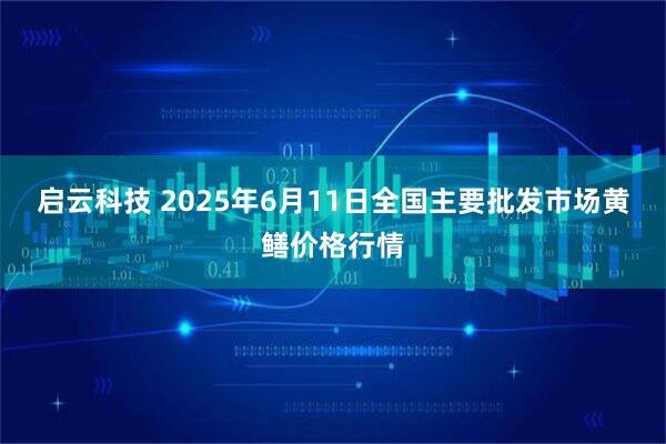 启云科技 2025年6月11日全国主要批发市场黄鳝价格行情