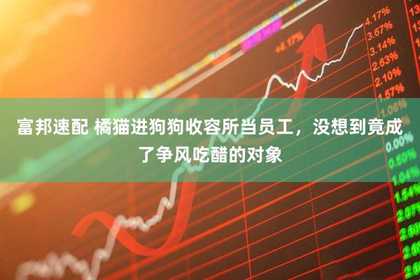 富邦速配 橘猫进狗狗收容所当员工，没想到竟成了争风吃醋的对象