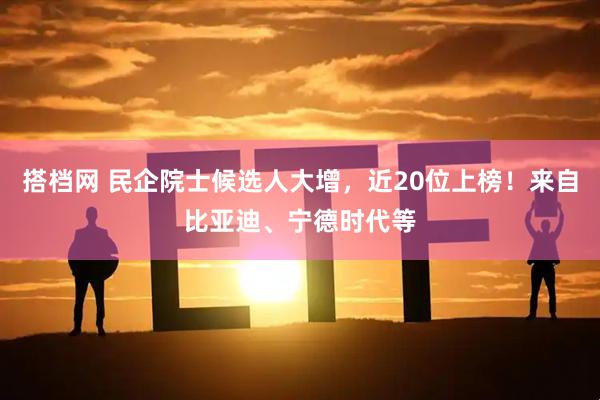 搭档网 民企院士候选人大增，近20位上榜！来自比亚迪、宁德时代等